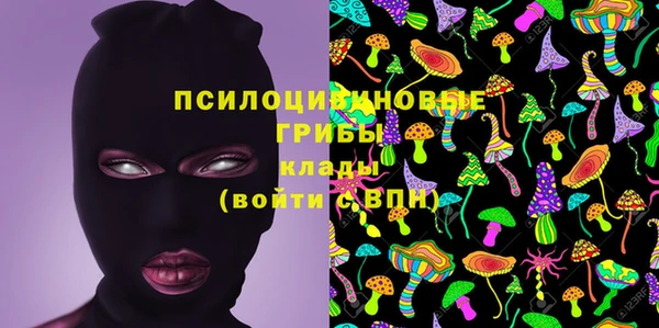 крисы Заводоуковск