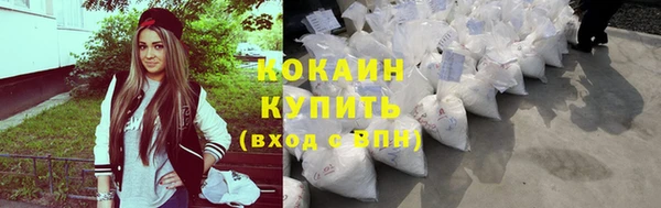 крисы Заводоуковск