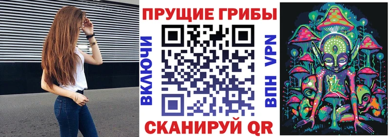 купить сайты Северск Галлюциногенные грибы мицелий