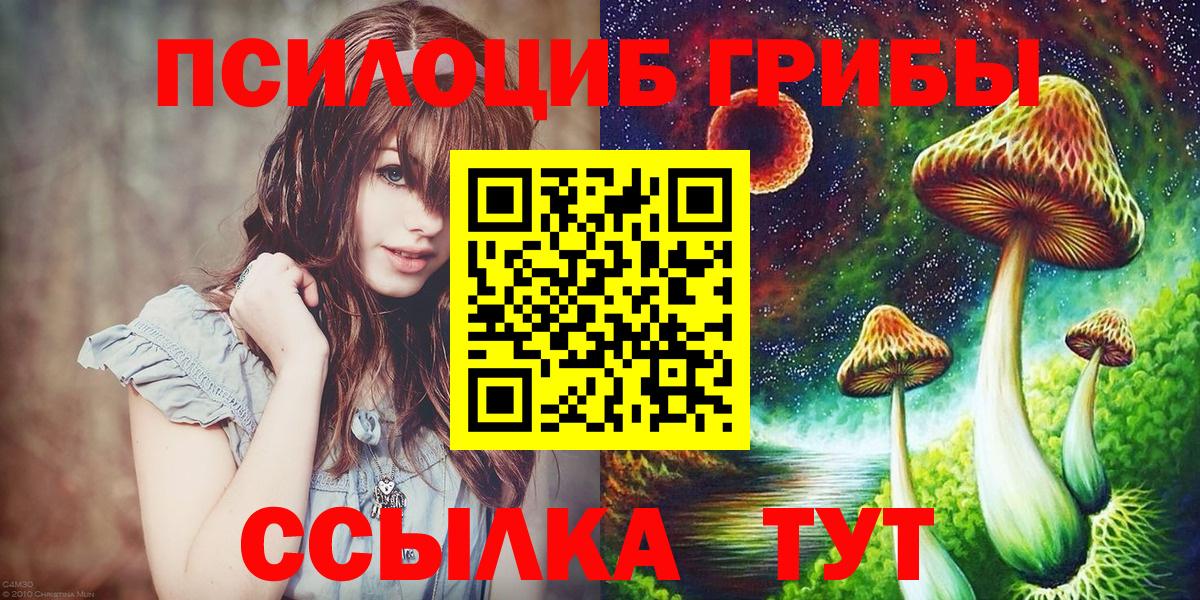 цена наркотик  Вход с VPN  Северск  Псилоцибиновые грибы MAGIC MUSHROOMS 