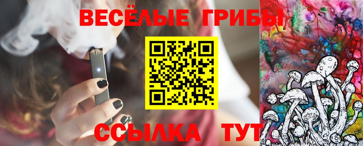 Галлюциногенные грибы прущие грибы Северск