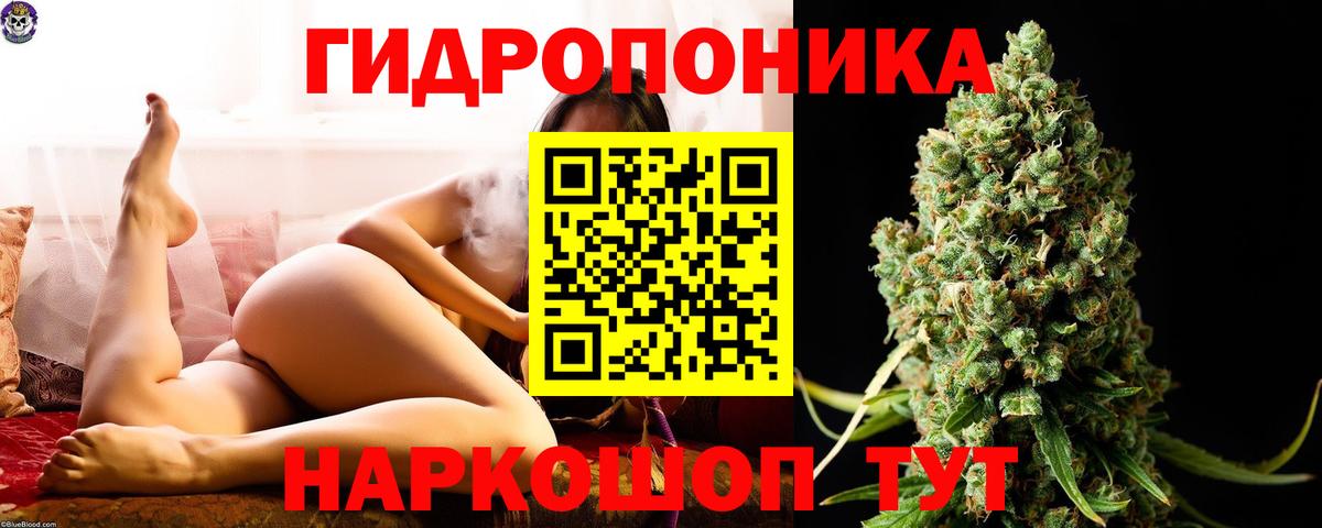 Марихуана White Widow Северск